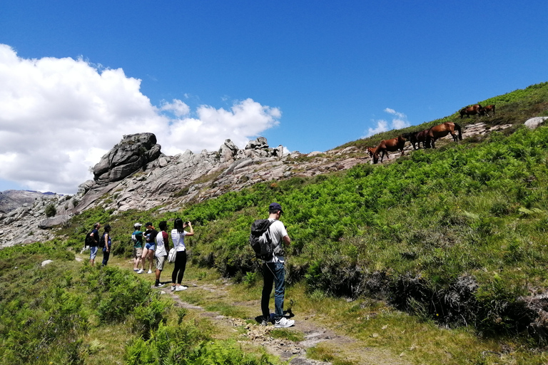 Do Porto: Caminhar, nadar ou simplesmente explorar o Parque Nacional do GerêsCaminha e nada no Parque Nacional do Gerês.