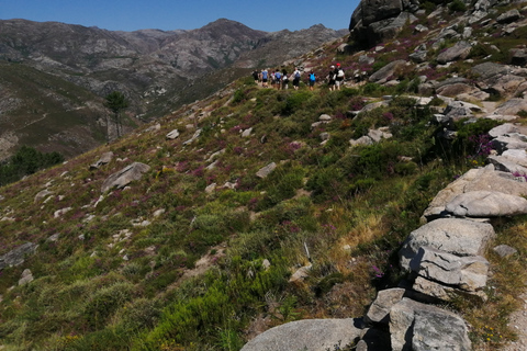 Do Porto: Caminhar, nadar ou simplesmente explorar o Parque Nacional do GerêsCaminha e nada no Parque Nacional do Gerês.