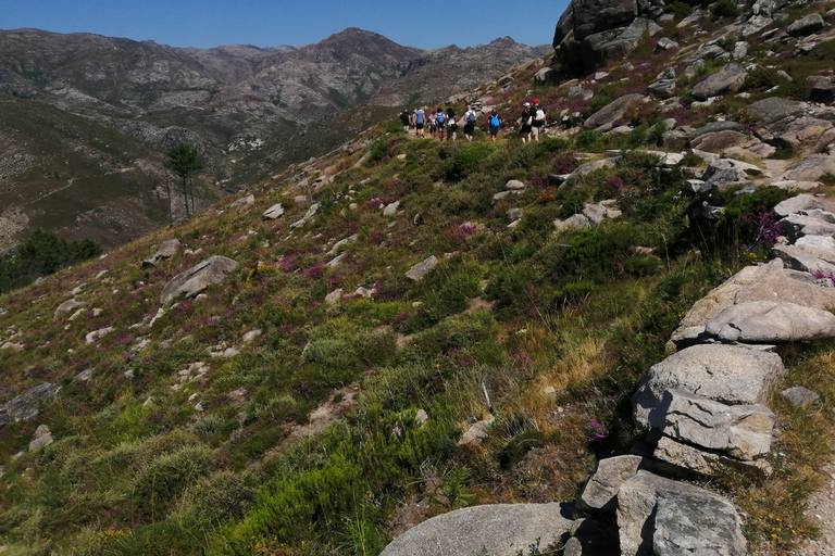 Do Porto: Caminhar, nadar ou simplesmente explorar o Parque Nacional do GerêsCaminha e nada no Parque Nacional do Gerês.