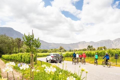Desde Ciudad del Cabo: Winelands Cycling TourWellington Winelands en bicicleta desde Ciudad del Cabo