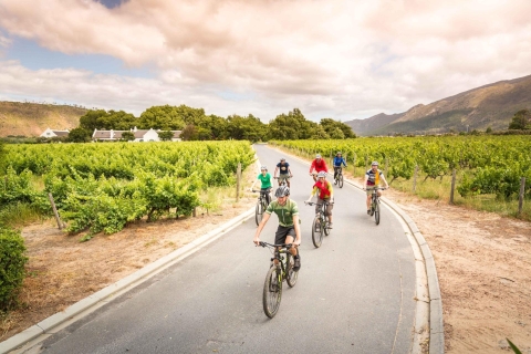 Van Kaapstad: Winelands Cycling TourWellington Wijnland Fietsreizen vanuit Kaapstad