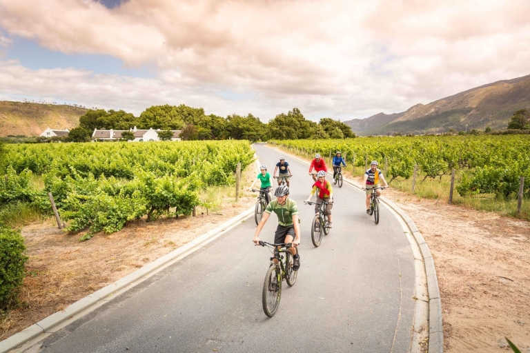 Desde Ciudad del Cabo: Winelands Cycling TourWellington Winelands en bicicleta desde Ciudad del Cabo
