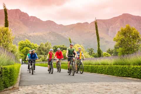 From Cape Town: Winelands Cycling Tour