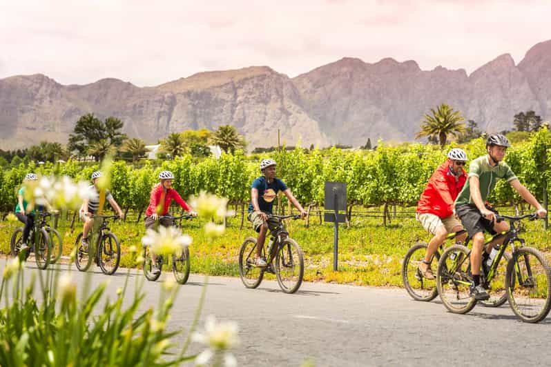 Von Kapstadt Aus: Winelands Radtour | GetYourGuide