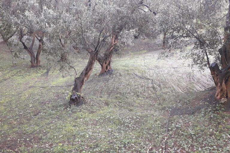 Corfu: Excursão particular aos vilarejos de montanhaCorfu: tour privado pelas aldeias da montanha