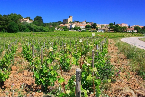 Avignon: Wijntour van een hele dag rond Châteauneuf-du-PapeAvignon: wijntour van een hele dag rond Châteauneuf-du-Pape
