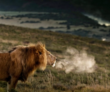 Port Elizabeth: 2-Day Addo Elephant Park Safari