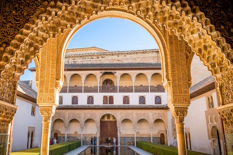 L'Alhambra : visite privée de 3 heures