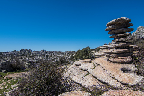 Från Granada: Torcal &amp; Antequera Dolmens Archaeological TourDelad tur