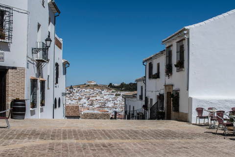 Desde Granada: tour arqueológico Torcal y Dólmenes de AntequeraTour Compartido