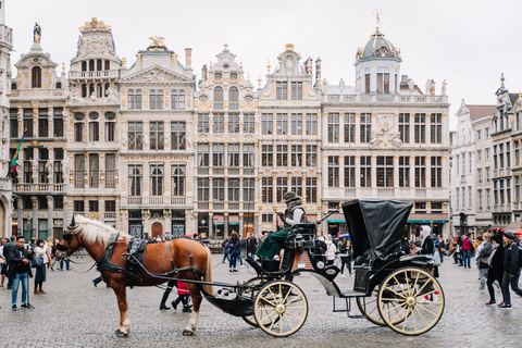 Bruxelles : Visite guidée privée à pied - Highlights & Hidden GemsCircuit de 6 heures