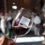 Stuttgart: Stuttgart Wine Museum Wine Tasting