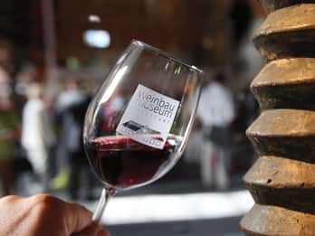 Stuttgart : Dégustation de vin au musée du vin de Stuttgart