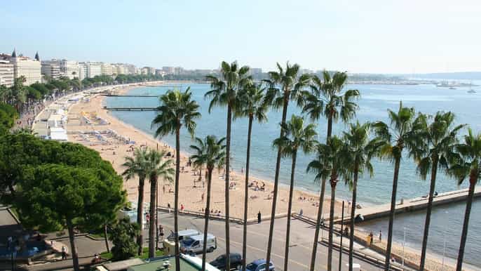 from nice cannes and antibes private halfday tour