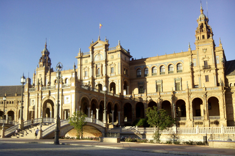 From Malaga: Guided Seville Day Trip Private transfer and group tour of Giralda
