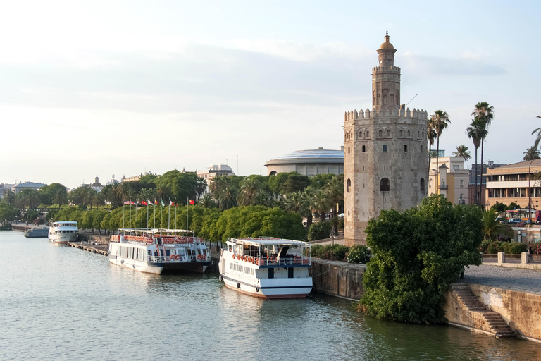 From Malaga: Guided Seville Day Trip Private transfer and group tour of Giralda