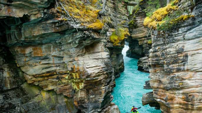 from jasper halfday private tour of jasper national park