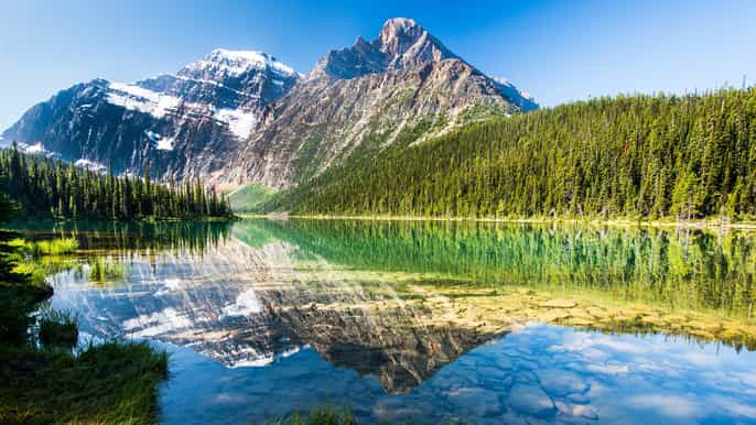 from jasper halfday private tour of jasper national park