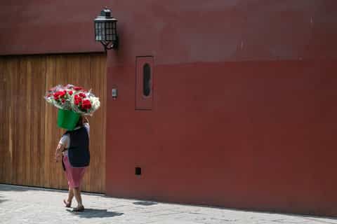 Città del Messico: tour privato delle gemme nascoste e dei momenti salienti di Coyoacán