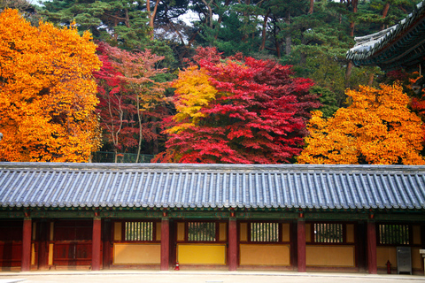Busan: Gyeongju Autumn Foliage Day Tour with Historic Sites Shared Tour, Meet at Haeundae Station