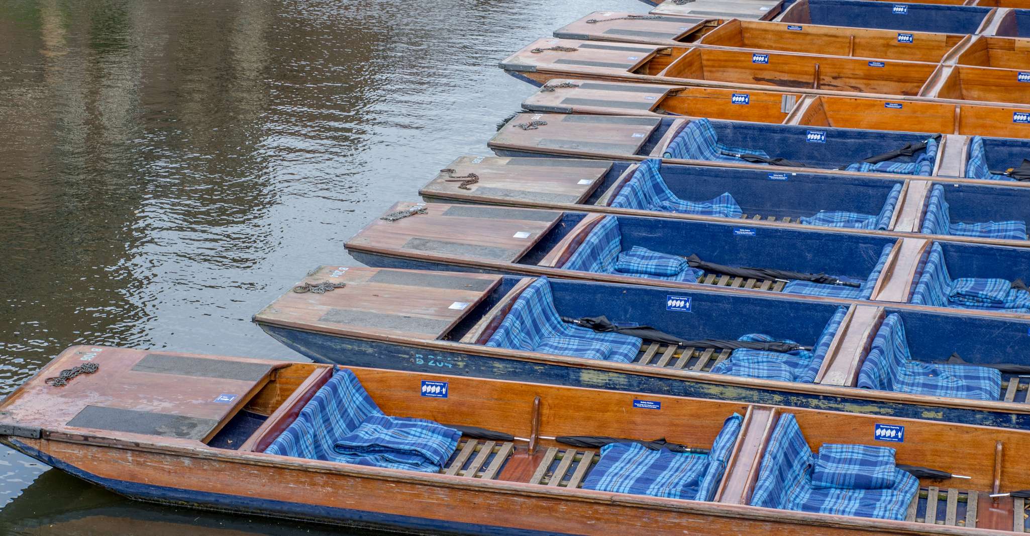 Cambridge, Punting Tour on the River Cam - Housity