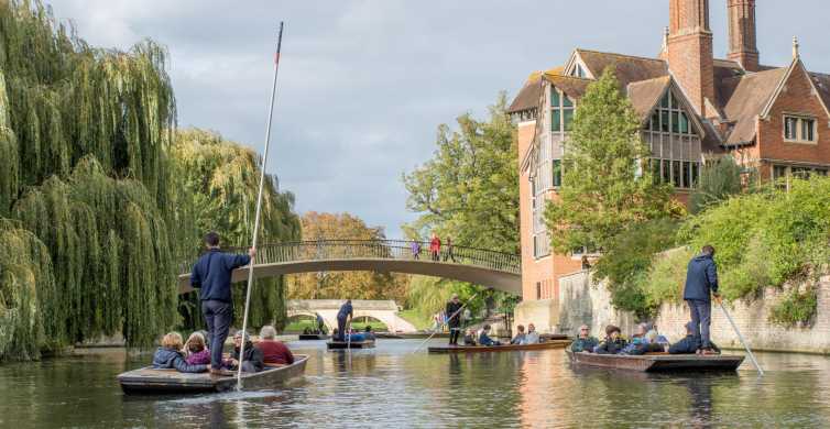 Cambridge: Punting Tour on the River Cam
