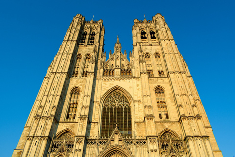 Vanuit Amsterdam: Private Sightseeing Tour naar Brussel