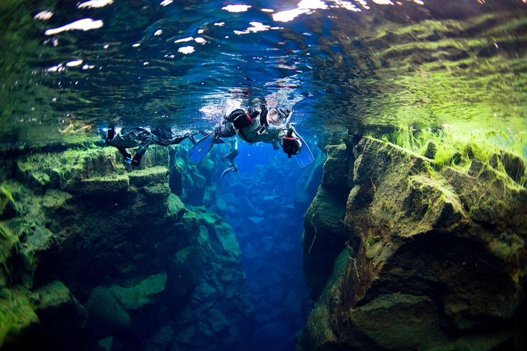 Reykjavík: Silfra-sprickan Snorkling mellan två kontinenterMöte vid Thingvellir nationalpark