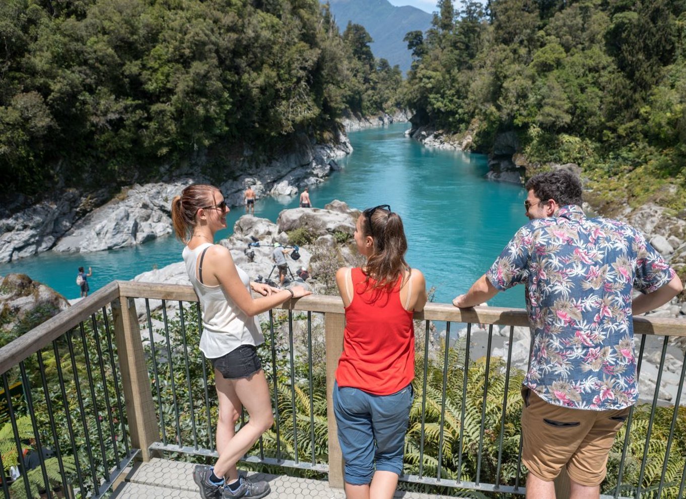 Greymouth: Hokitika Gorge og Tree Top Walkway halvdagstur