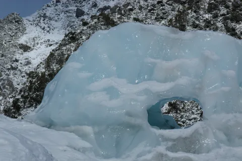 Greymouth: Visita guiada al Centro de Glaciares, Patrimonio y Vida Salvaje