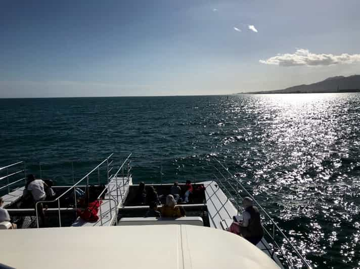 catamarano malaga