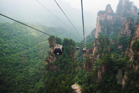 Zhangjiajie: Tianmen berg och skogspark Privat tur