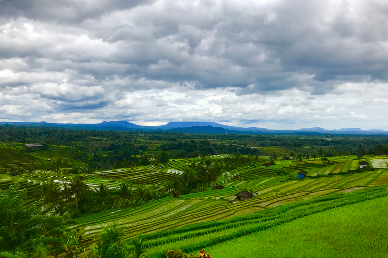 Sites UNESCO de Bali : visite guidée privéeVisite privée avec les frais d'entrée