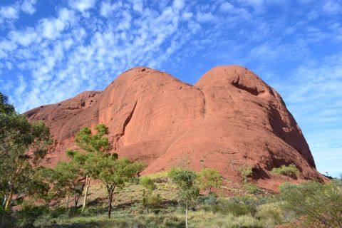 Ayers Rock: Afternoon Tour to Walpa Gorge