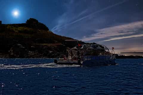Kotor: Boka Bay Evening Cruise with Dinner