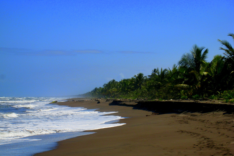 San José: Excursión de un día al Parque Tortuguero con desayuno y almuerzo