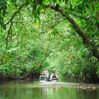 San Jose: Tortuguero Park Day Tour with Breakfast & Lunch