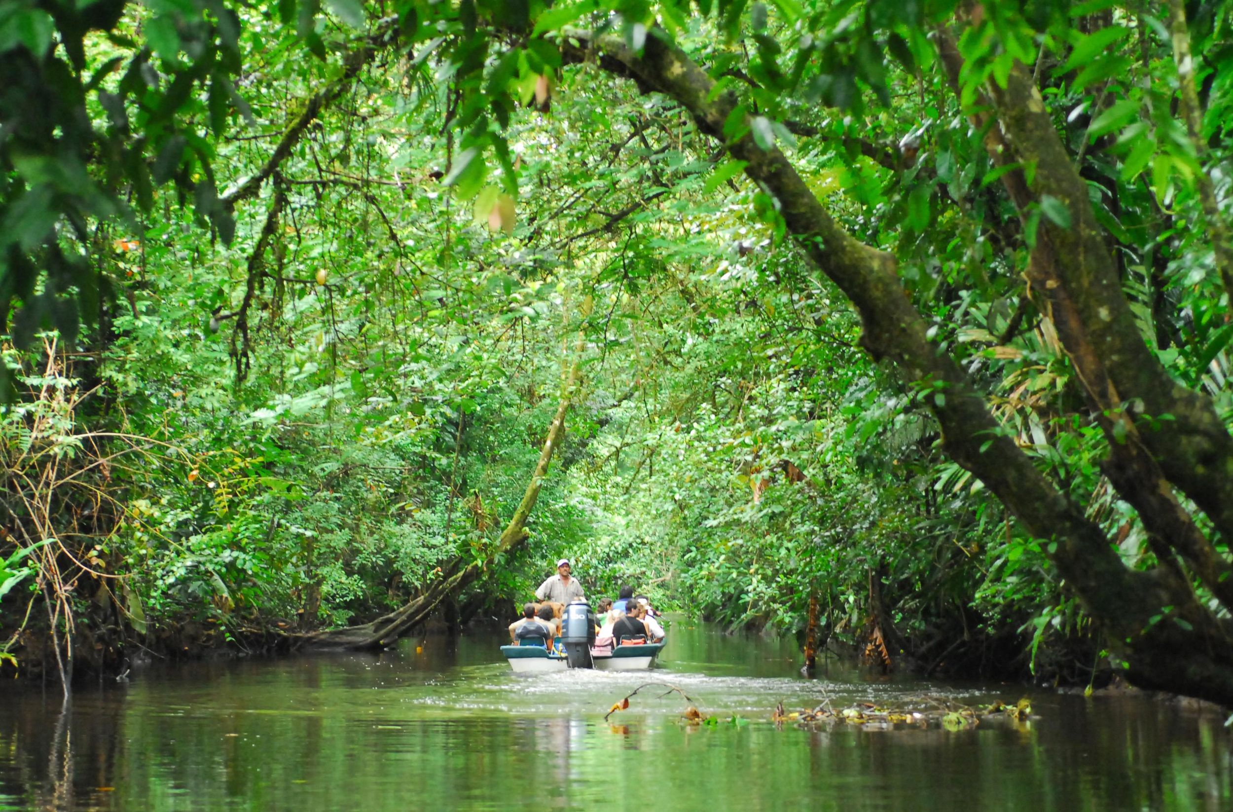 San José: Tagestour im Tortuguero-Park mit Frühstück und Mittagessen