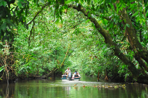 San José: Excursión de un día al Parque Tortuguero con desayuno y almuerzo