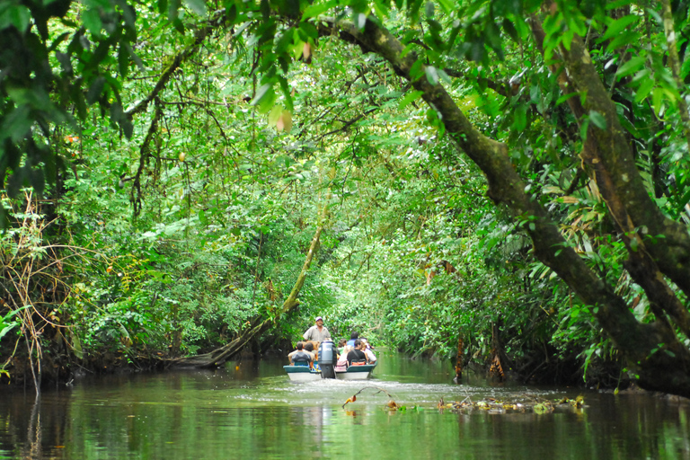 San José: Excursión de un día al Parque Tortuguero con desayuno y almuerzo