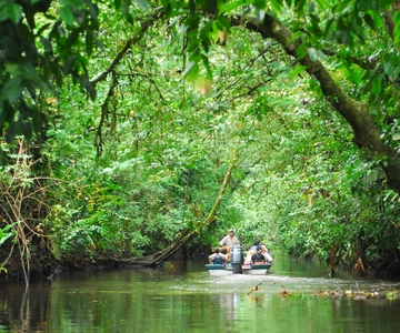 San Jose: Tortuguero Park Day Tour with Breakfast & Lunch