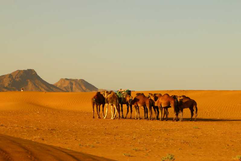 ワルザザートから ラクダに乗ってザゴラへのプライベート日帰り旅行 ザゴラ モロッコ Getyourguide