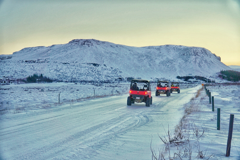 De Reykjavik: aventure en buggy et observation des baleinesExcursion en buggy et observation des baleines - Cavalier simple