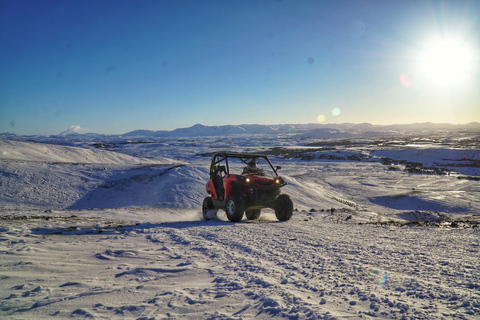 Ab Reykjavik: Buggy-Abenteuer & Wal-BeobachtungBuggy-Abenteuer und Walbeobachtung