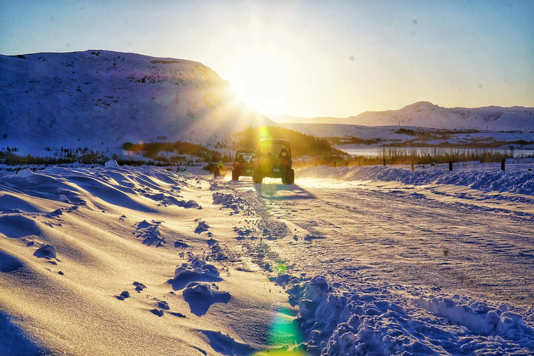 Da Reykjavik: Avventura in buggy e osservazione delle baleneBuggy e tour di osservazione delle balene - Pilota singolo