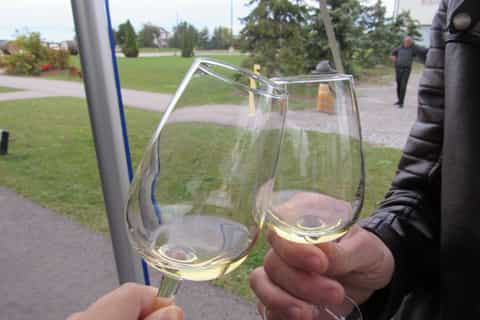 Toronto: excursión de un día a Taste of Niagara-on-the-Lake