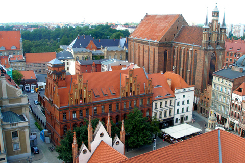 From Warsaw: Full-Day Private Visit to Torun