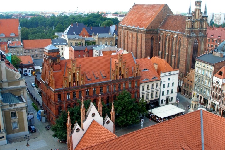 De Varsovie: visite privée d'une journée à Torun