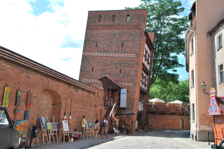 Aus Warschau: Ganztägiger privater Besuch in Torun