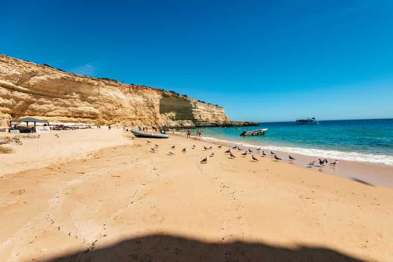 Albufeira: Sightseeing Cruise with Beach BBQ and Open Bar | GetYourGuide